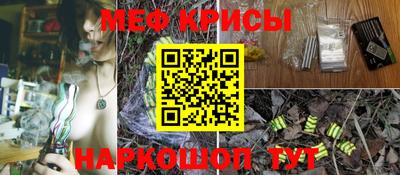 спиды Дубна